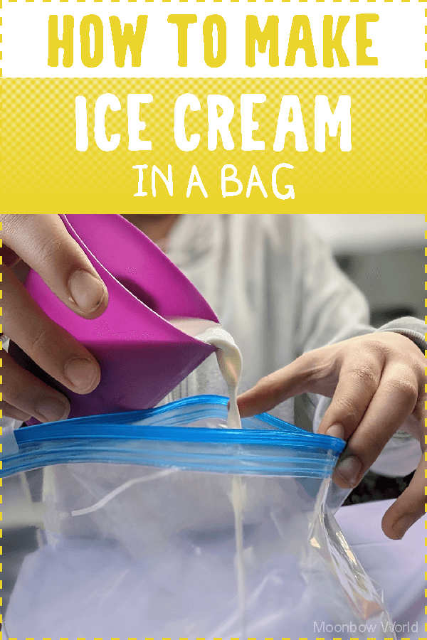 Ice Cream In A Bag